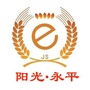 阳光永平ico