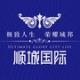 华兴顺城国际ico