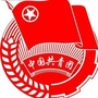 工农办事处团工委ico