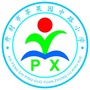 开封市苹果园中路小学ico