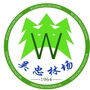 吴忠林场ico