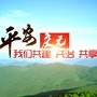 平安庆元ico