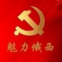魅力俄西ico