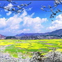 贵定县文化和旅游局ico
