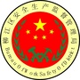 柳江安监ico