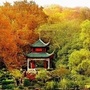 湖v南新资讯ico