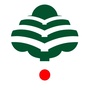 海南鲁迅中学巴哈马校区公众号ico