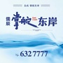 掌舵东岸ico