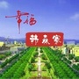 新城区韩森寨街道办事处ico