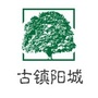 古镇阳城ico