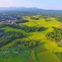韵味石壁ico