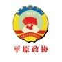 平原政协ico