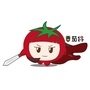 青麦番茄将公众号ico