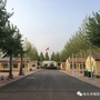 抬头寺镇政务通ico