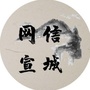 网信宣城ico