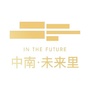 中南未来里ico