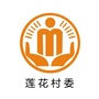 坪山莲花阳光村务ico