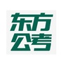 海南东方公考ico