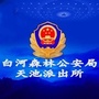 白河森林公安局天池派出所公众号ico