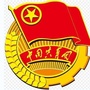 新都区梁家村青年ico