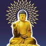 三宝课程ico