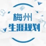 梅州生涯规划ico