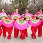 暖风广场舞ico