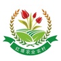 红塔农业ico