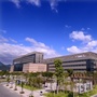 温州医科大学附属第一医院介入科ico