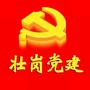 壮岗党建ico