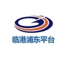 临港浦东平台ico