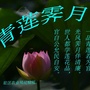 青莲霁月ico