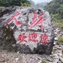 大坪动态ico