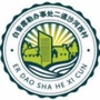 二道沙河西村ico