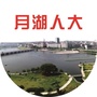 月湖人大ico