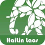 Hailin海林国际ico