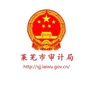 莱芜审计ico
