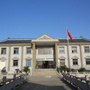 华新镇杨家庄村ico