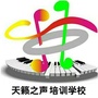 河池市天籁之声ico