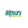 新东方漳州学校ico