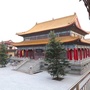 临淄金陵寺ico