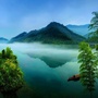 宣城林业ico