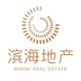 滨海地产ico