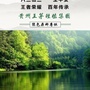 贵州王茅种植集团ico