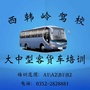 西韩岭驾校大中型客货车培训ico