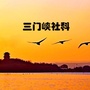 三门峡社科ico