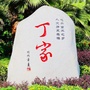 美丽丁家ico