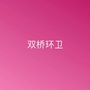 双桥环卫ico
