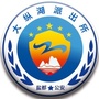 平安大纵湖ico
