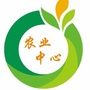 庄行农业ico